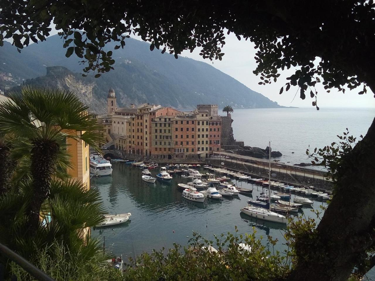 Casa Teresina A Camogli Daire Dış mekan fotoğraf