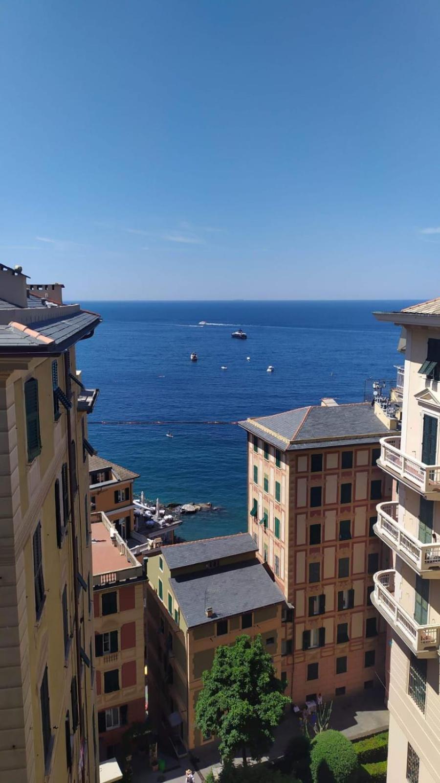 Casa Teresina A Camogli Daire Dış mekan fotoğraf